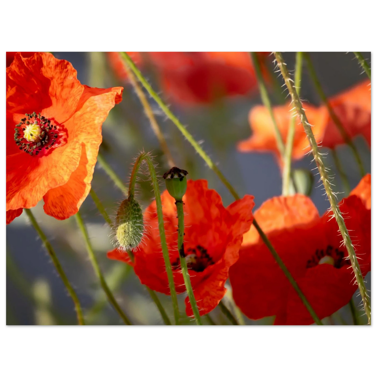 9ab7cc77-9f8a-42c5-ba5b-a1314857d9a5